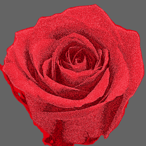 openclipart圖庫：red rose 