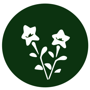 openclipart圖庫：Flower-bell flower