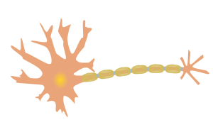 openclipart圖庫：single-neuron