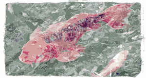 openclipart圖庫：Koi Fish