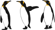 openclipart圖庫：Three King Penguins