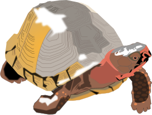 openclipart圖庫：Box Turtle