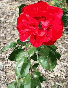openclipart圖庫：Red Flower