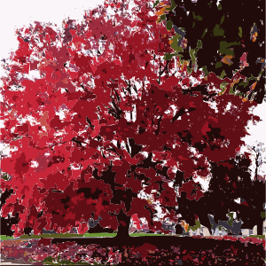 openclipart圖庫：Fall Tree-Red