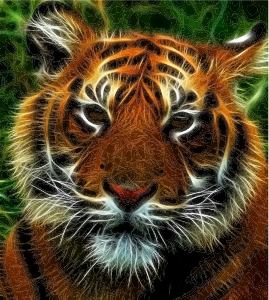 openclipart圖庫：Tiger Tiger Burning Bright