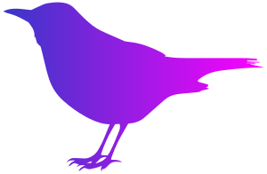 openclipart圖庫：Blackbird with Color
