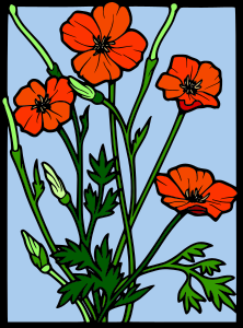 openclipart圖庫：Coloured Poppy stained glass 