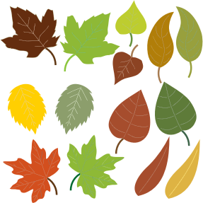 openclipart圖庫：Variety Of Leaves