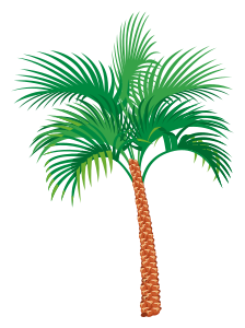 openclipart圖庫：Palm tree