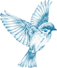 openclipart圖庫：Vintage Blue Bird