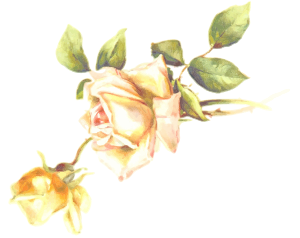 openclipart圖庫：Rose 4 (isolated)