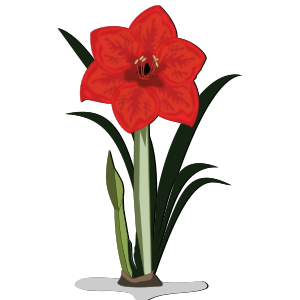 openclipart圖庫：Flower