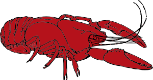 openclipart圖庫：crayfish