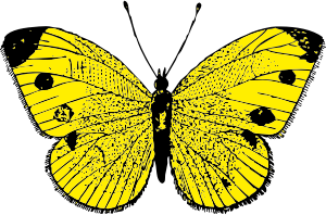 openclipart圖庫：butterfly