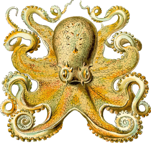 openclipart圖庫：Octopus 2