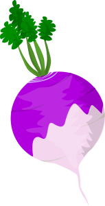 openclipart圖庫：Turnip