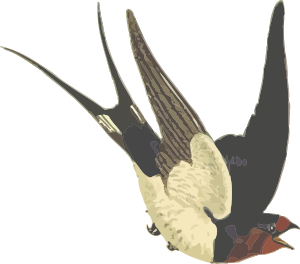 openclipart圖庫：Barn swallow (isolated)