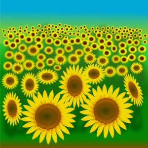 openclipart圖庫：Flower