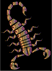 https://openclipart.org/image/300px/svg_to_png/232189/Colorful-Abstract-Tribal-Scorpion-15.png