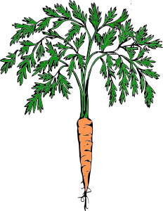 https://openclipart.org/image/300px/svg_to_png/232227/orange_carrot.png