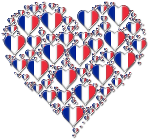 https://openclipart.org/image/300px/svg_to_png/232370/Heart-France-Fractal-Enhanced-3.png
