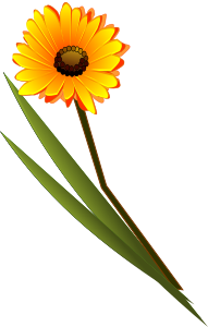 openclipart圖庫：flowers-gerbera