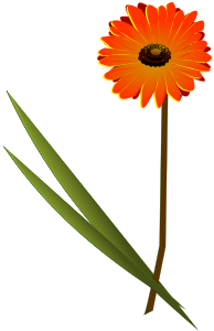 openclipart圖庫：flowers gerbera