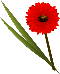 openclipart圖庫：Flowers Gerbera