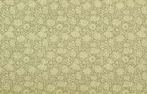 https://openclipart.org/image/300px/svg_to_png/233098/FloweryPattern2.png