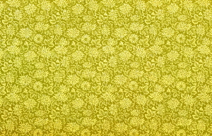 https://openclipart.org/image/300px/svg_to_png/233099/FloweryPattern2Brighter.png