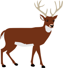 openclipart圖庫：Male Deer