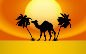 https://openclipart.org/image/300px/svg_to_png/233916/Camel-Sunset.png