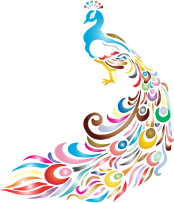 openclipart圖庫：Chromatic Peacock 2 No Background