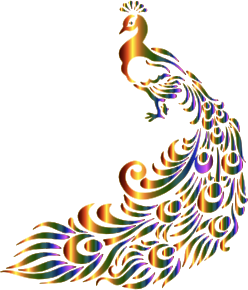 openclipart圖庫：Chromatic Peacock 7 No Background