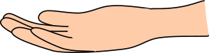 openclipart圖庫：Palm up hand (light skin)