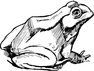 openclipart圖庫：Simple Frog