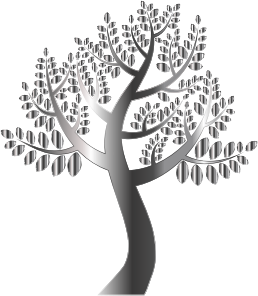 https://openclipart.org/image/300px/svg_to_png/234875/Simple-Prismatic-Tree-6-Without-Background.png