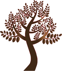 https://openclipart.org/image/300px/svg_to_png/234877/Simple-Prismatic-Tree-7-Without-Background.png