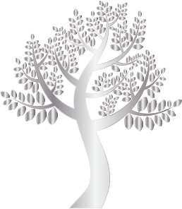 openclipart圖庫：Simple Silver Tree Without Background