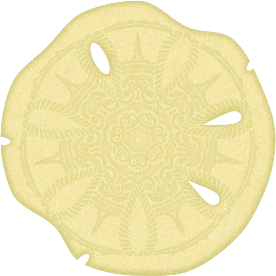 openclipart圖庫：Sand Dollar Skeleton