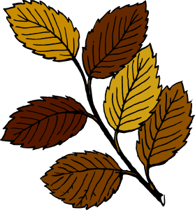 openclipart圖庫：Autumn leaves on branch