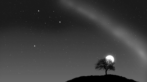 openclipart圖庫：A starry night