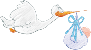 https://openclipart.org/image/300px/svg_to_png/235809/Stork-Carrying-Baby-Boy.png