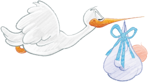 openclipart圖庫：Stork Carrying Baby Boy