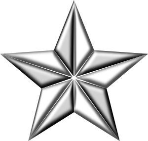 https://openclipart.org/image/300px/svg_to_png/236489/3DSegmentedStarSilver.png