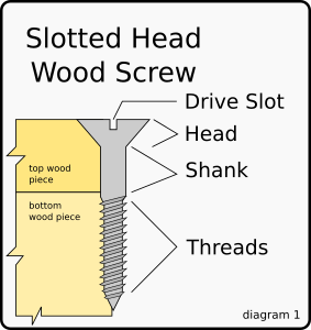 openclipart圖庫：Wood Screw Diagram