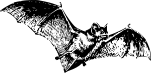 openclipart圖庫：bat