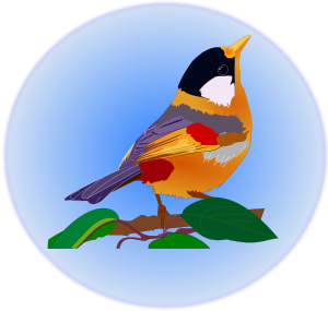 openclipart圖庫：PÁSSARO MULTICOLOR