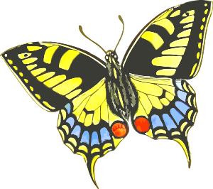 https://openclipart.org/image/300px/svg_to_png/240981/Butterfly9.png