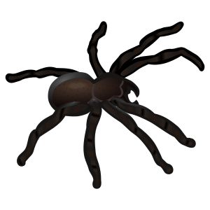 openclipart圖庫：spider - coloured